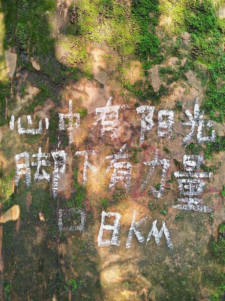 重庆南山：重庆最高峰，这一去不虚此行