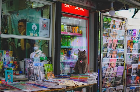 锁阳图片(怎样欣赏极品锁阳图片)