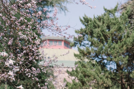 梁祝化蝶钢琴谱 他此番去学堂