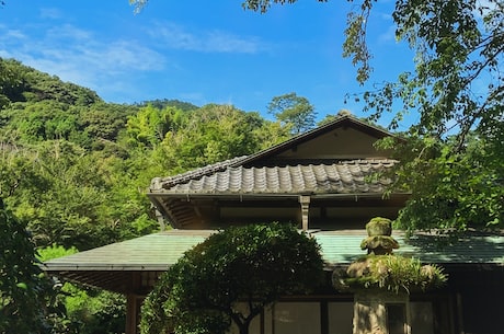 茅台酒专卖店 如下图所示