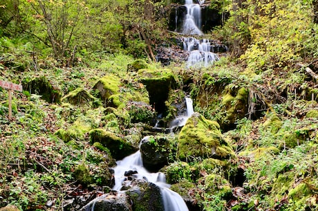 金秀瑶族自治县(探访广西壮族自治区南宁市旅游胜地——金秀瑶族自治县)