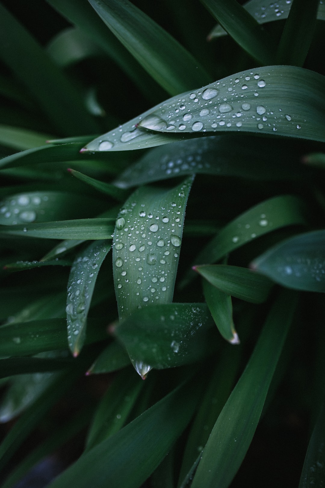 雨后的故事(雨后的故事：暖暖的记忆)