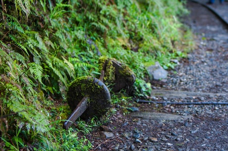 三道堰(三道堰：扬帆起航，百年修利润)