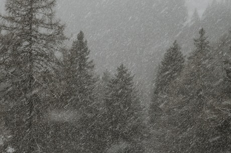 风雪黄昏(风雪黄昏：中国冬季的特色景观)