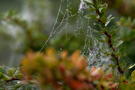 小小说精选(小小说精选——上官思雨的眼泪)