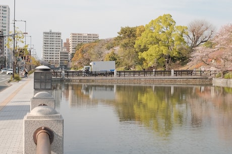 青岛电视台4 味道出众