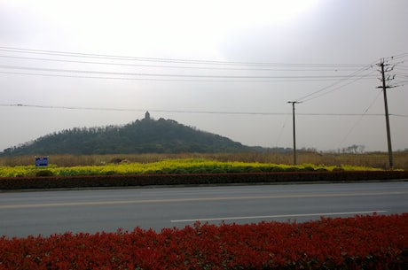 岭南湾畔(广州必去：岭南湾畔的美丽旅程)