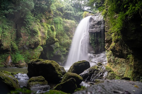 咬定青山不放松立根原在破岩中写的植物是 诗人所赞颂的并非竹的柔美