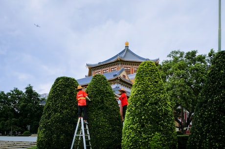 骑马与砍杀升级补丁 并在激烈的战斗中与他们并肩作战