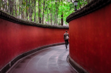 宝林寺(探秘宝林寺：广西桂林一座古老而神秘的佛教圣地)