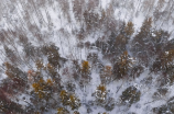 黑龙江多地遭暴风雪，追踪最新暴雪天气预警