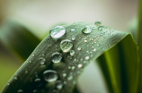 江苏明日将有大到暴雨(江苏明日将有大到暴雨，外出请注意安全)