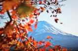 梯田图片(仙境之地，梯田图片引领旅游新潮流)